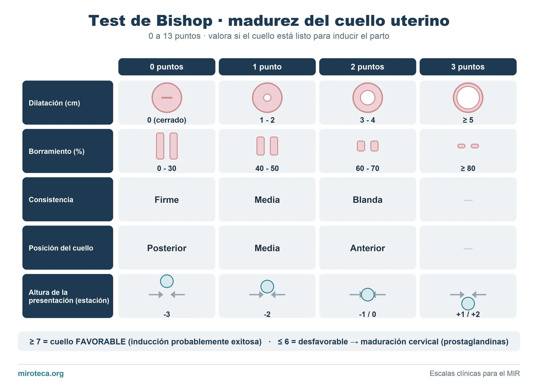 Test de Bishop: tabla visual con la dilatación, el borramiento, la consistencia, la posición del cuello y la altura de la presentación