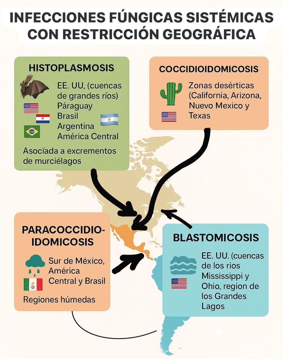 Micosis sistémicas según la geografía